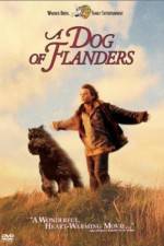Watch A Dog of Flanders Tvmuse