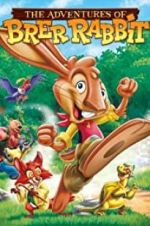 Watch The Adventures of Brer Rabbit Tvmuse
