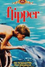 Watch Flipper Tvmuse