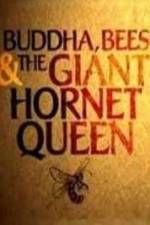 Watch Natural World Buddha Bees and the Giant Hornet Queen Tvmuse