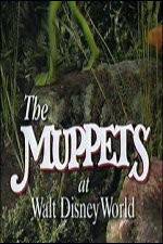 Watch The Muppets at Walt Disney World Tvmuse