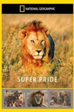 Watch National Geographic: Super Pride  Africa's Largest Lion Pride Tvmuse