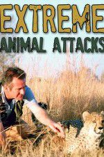 Watch Extreme Animal Attacks Tvmuse