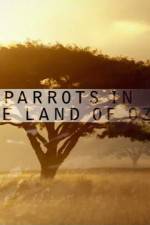 Watch Nature Parrots in the Land of Oz Tvmuse