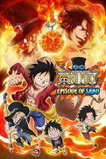 Watch One Piece: Episode of Sabo - Bond of Three Brothers, a Miraculous Reunion and an Inherited Will Tvmuse