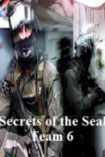 Watch Discovery Channel Secrets of Seal Team 6 Tvmuse