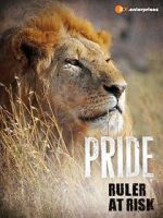 Watch Pride - Ruler\'s at Risk Tvmuse