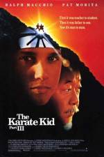 Watch The Karate Kid, Part III Tvmuse