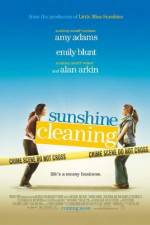 Watch Sunshine Cleaning Tvmuse
