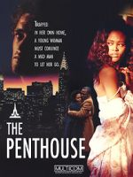 Watch The Penthouse Tvmuse