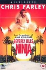 Watch Beverly Hills Ninja Tvmuse