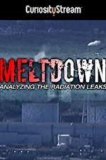 Watch Meltdown: Analyzing the Radiation Leaks Tvmuse