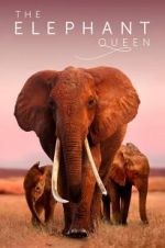 Watch The Elephant Queen Tvmuse