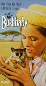 Watch The Bushbaby Tvmuse