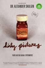 Watch Dirty Pictures Tvmuse