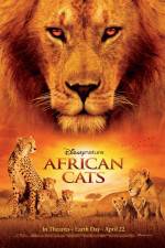 Watch African Cats Tvmuse