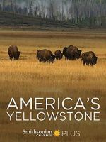 Watch America\'s Yellowstone Tvmuse