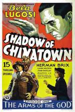 Watch Shadow of Chinatown Tvmuse