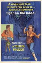 Watch A Tiger Walks Tvmuse