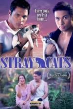 Watch Stray Cats Tvmuse