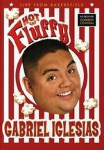 Watch Gabriel Iglesias: Hot and Fluffy Tvmuse