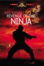 Watch Revenge of the Ninja Tvmuse