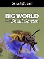 Watch Big World in a Small Garden (TV Short 2016) Tvmuse