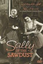 Watch Sally of the Sawdust Tvmuse