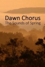 Watch Dawn Chorus: The Sounds of Spring Tvmuse