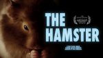 Watch The Hamster Tvmuse
