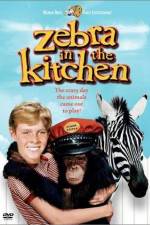 Watch Zebra in the Kitchen Tvmuse