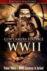 Watch Gun Camera Footage WWII Tvmuse
