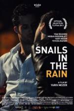 Watch Snails in the Rain Tvmuse