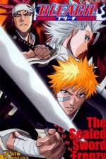 Watch Bleach: The Sealed Sword Frenzy Tvmuse