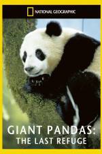 Watch National Geographic Giant Pandas The Last Refuge Tvmuse