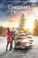 Watch The Christmas Promise Tvmuse