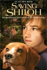 Watch Saving Shiloh Tvmuse