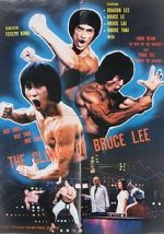 Watch The Clones of Bruce Lee Tvmuse