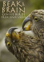 Watch Beak & Brain - Genius Birds from Down Under Tvmuse
