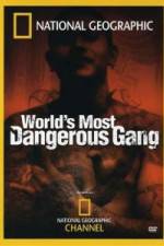 Watch National Geographic World's Most Dangerous Gang Tvmuse