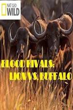 Watch National Geographic - Blood Rivals: Lion vs. Buffalo Tvmuse