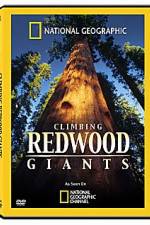 Watch National Geographic Explorer: Climbing Redwood Giants Tvmuse