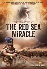 Watch Patterns of Evidence: The Red Sea Miracle Tvmuse