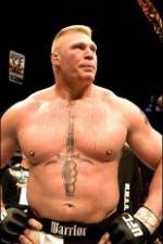 Watch Brock Lesnar 7 Fights Tvmuse