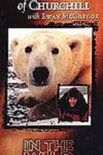 Watch The Polar Bears of Churchill with Ewan McGregor Tvmuse