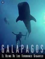 Watch Galapagos: Realm of Giant Sharks Tvmuse