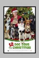 Watch 12 Dog Days of Christmas Tvmuse