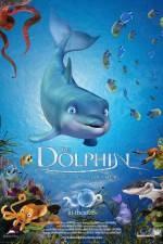 Watch The Dolphin Story of a Dreamer Tvmuse