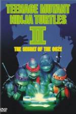Watch Teenage Mutant Ninja Turtles II: The Secret of the Ooze Tvmuse