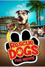 Watch Rescue Dogs Tvmuse